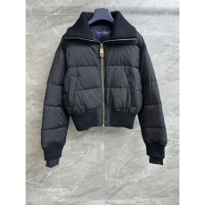 Louis Vuitton Down Jackets